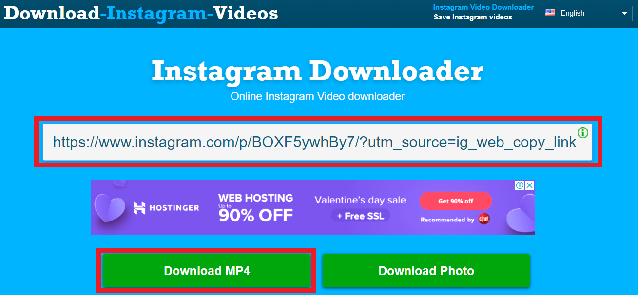 Instagram Video downloader websites