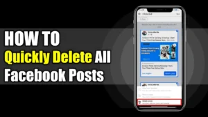 Delete All Facebook Posts in Bulk