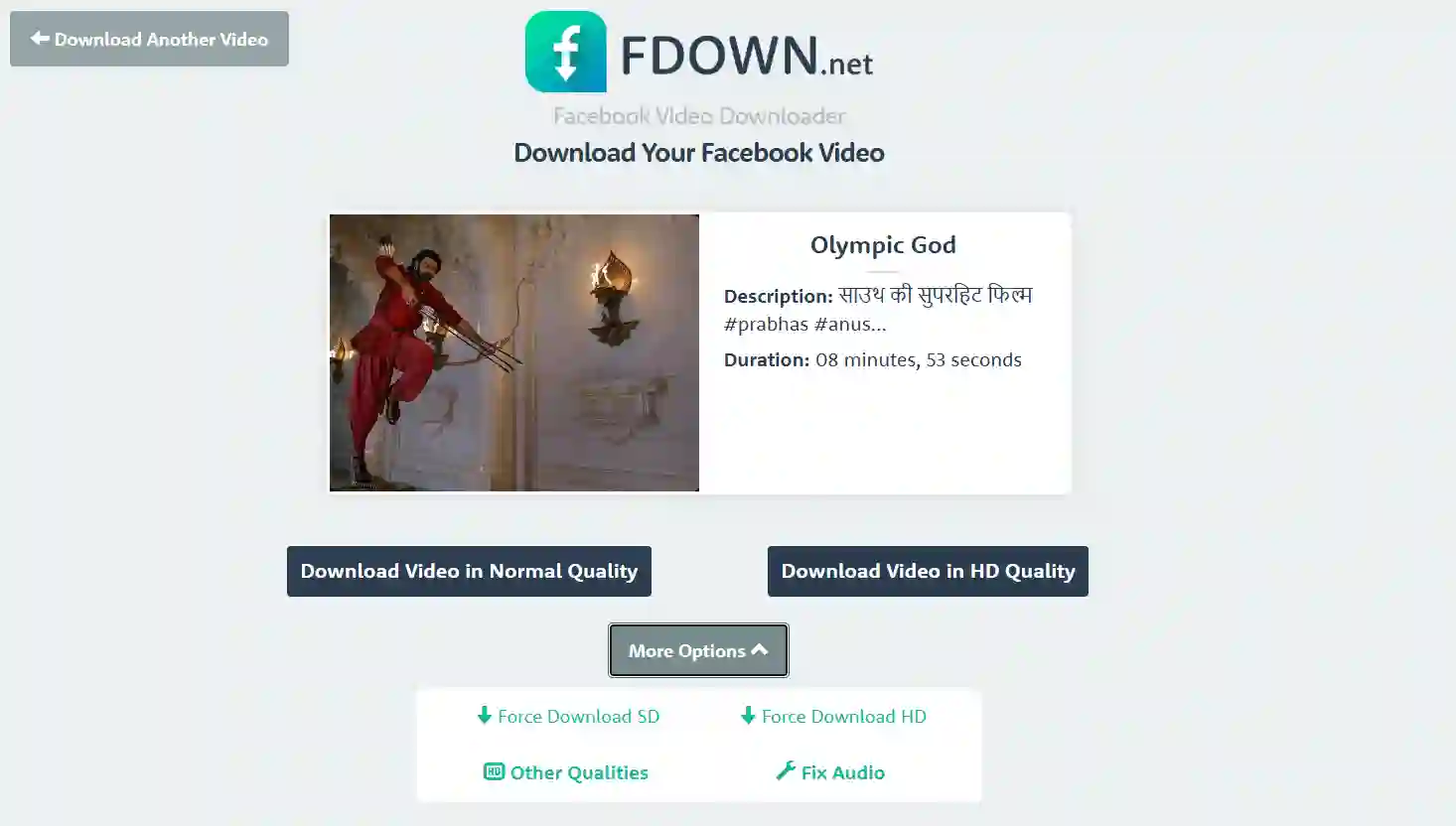 Facebook video downloader website