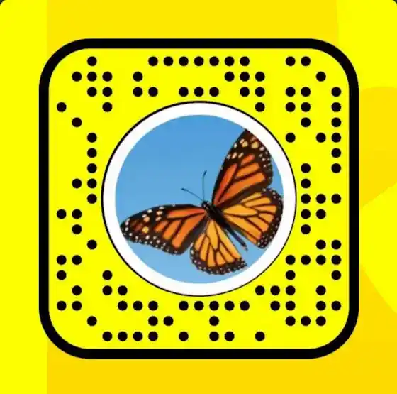 Snapchat Butterflies Lens Snapcode