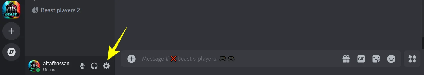 Discord Setting